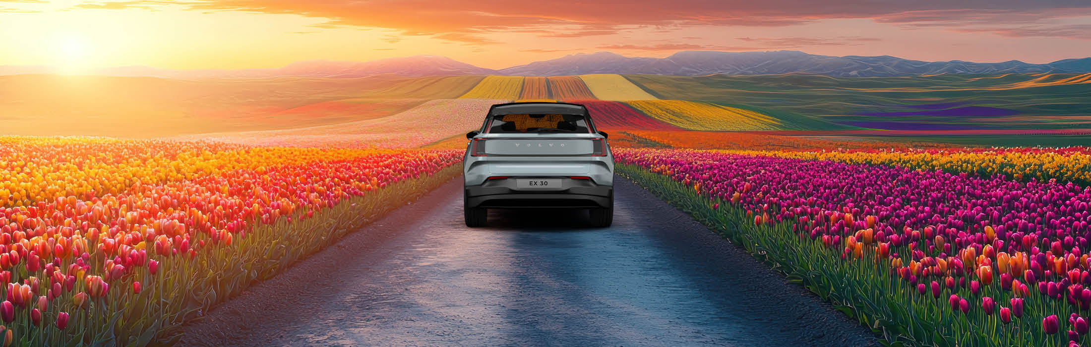 Rückansicht eines silbernen Autos auf einer Landst